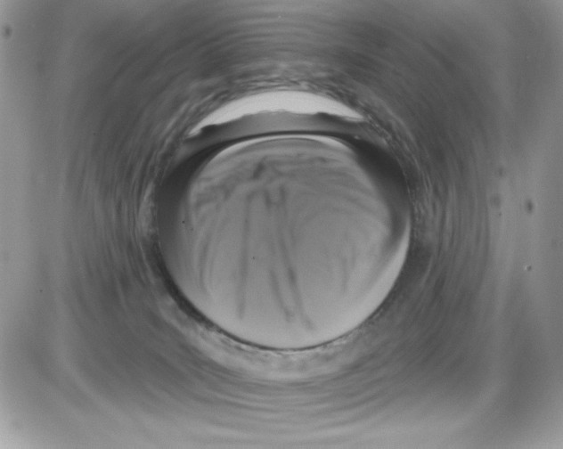 X0000085820035200704132023