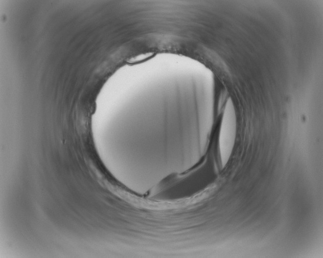 X0000085820039200704132023