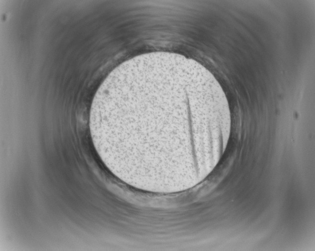 X0000085820040200704132023