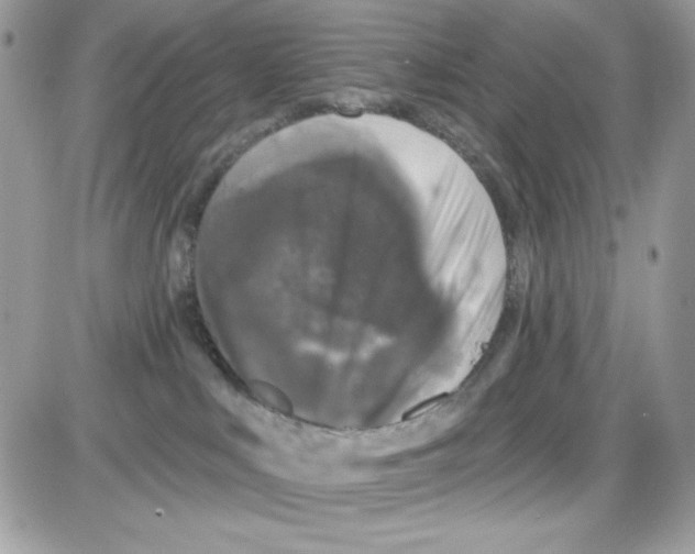 X0000085820043200704132023