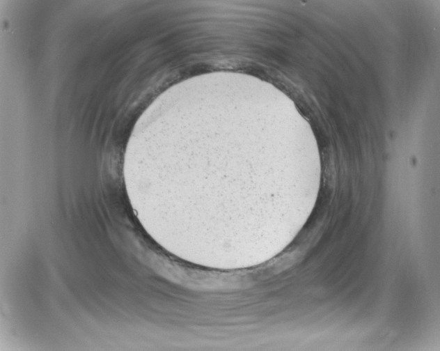 X0000085820044200704132023