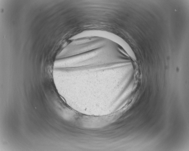 X0000085820045200704132023