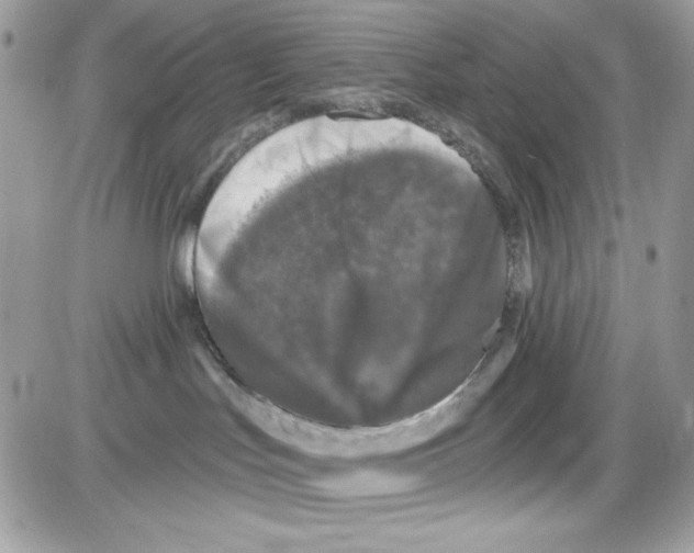 X0000085820047200704132023