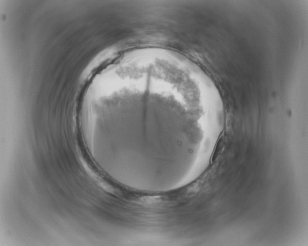 X0000085820054200704132022