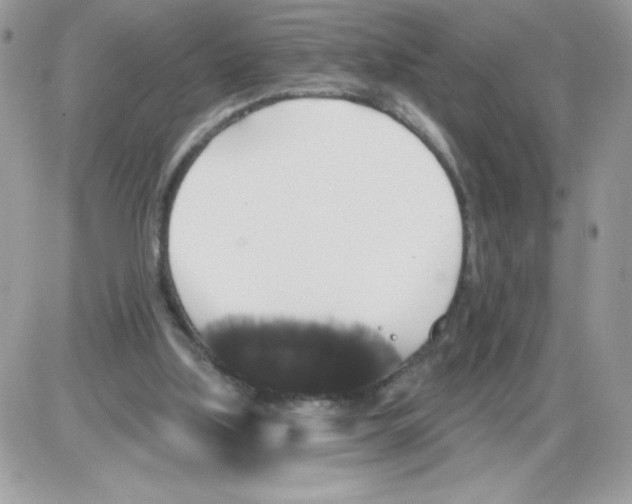 X0000085820059200704132022