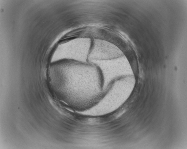 X0000085820060200704132022