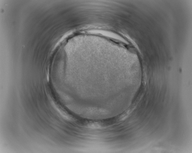 X0000085820062200704132022