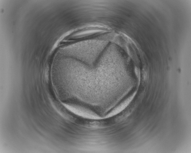 X0000085820064200704132022