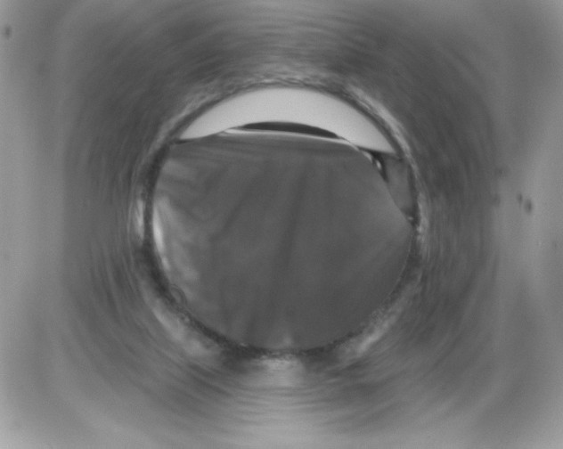 X0000085820067200704132023