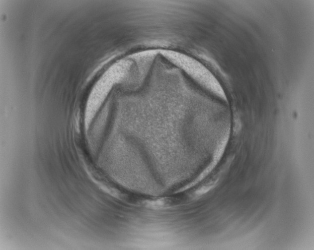 X0000085820068200704132023