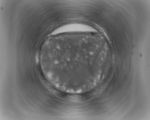 X0000085820069200704132023