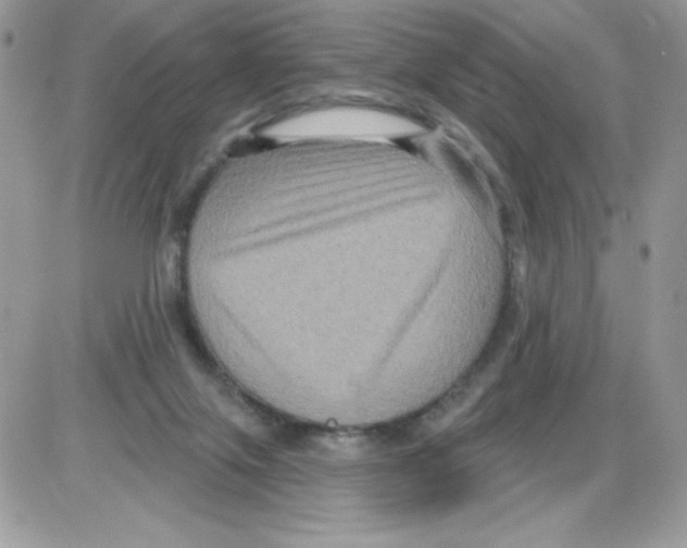 X0000085820071200704132023