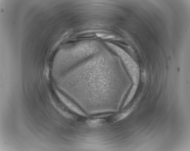X0000085820072200704132023