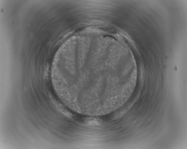 X0000085820073200704132023