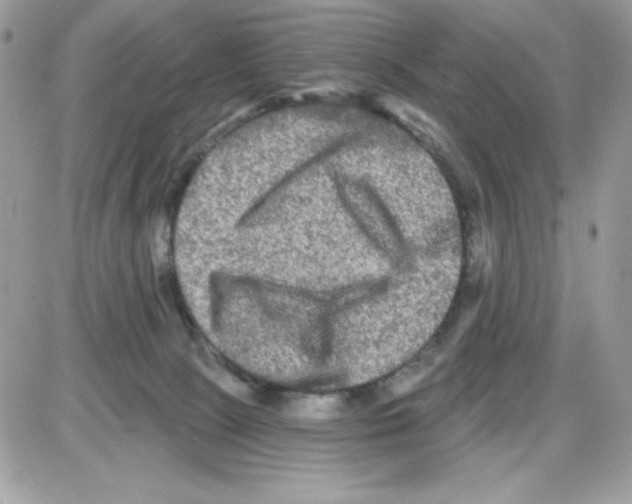X0000085820081200704132023