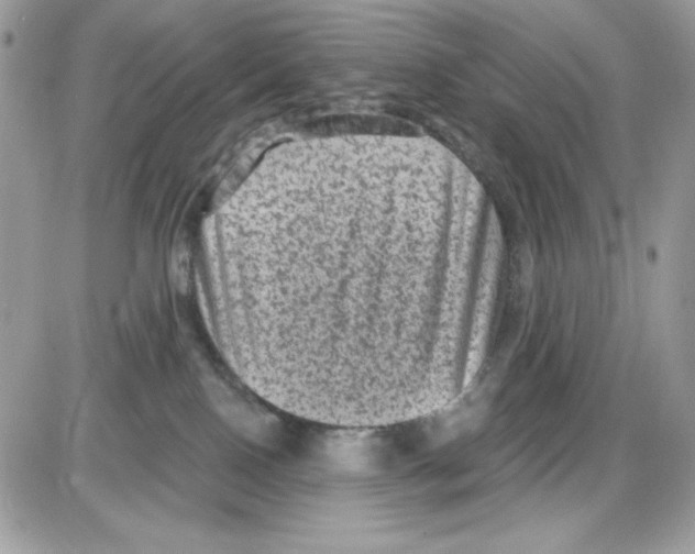 X0000085820090200704132023