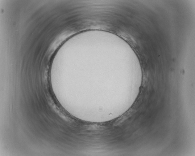 X0000085820098200704132022