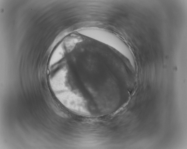 X0000085820099200704132022