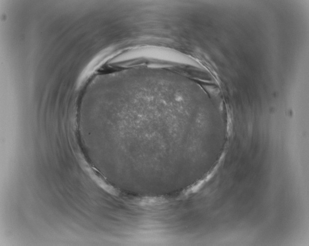 X0000085820101200704132022