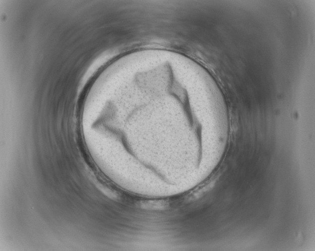 X0000085820102200704132022