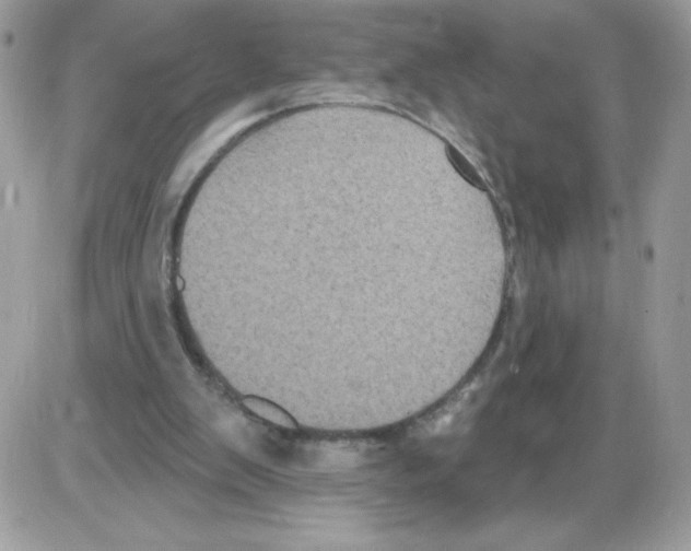 X0000085820103200704132022