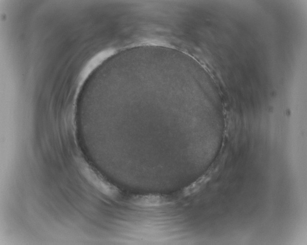 X0000085820104200704132022