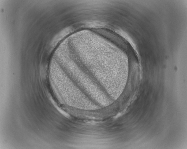 X0000085820105200704132022