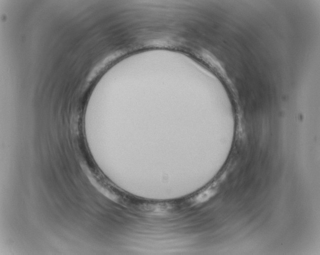 X0000085820106200704132022