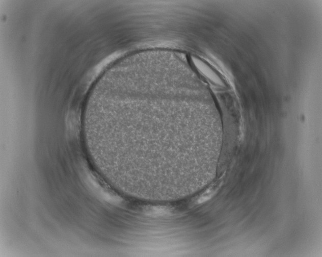 X0000085820107200704132022