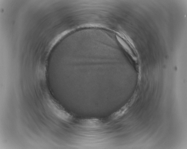 X0000085820108200704132022