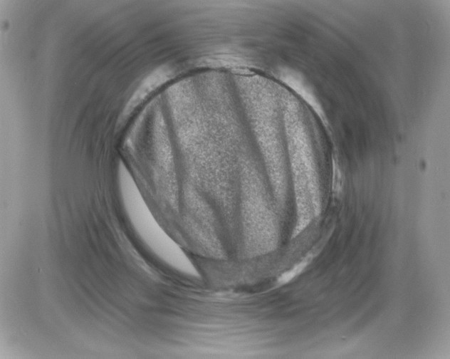 X0000085820109200704132022