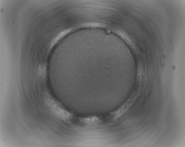 X0000085820112200704132022