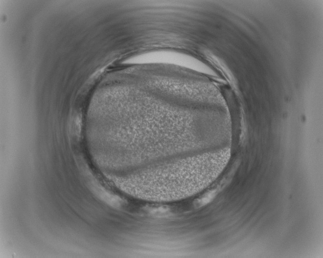 X0000085820113200704132022