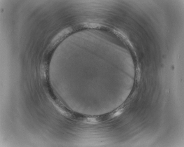 X0000085820114200704132022