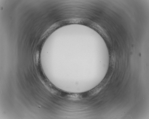 X0000085820118200704132022