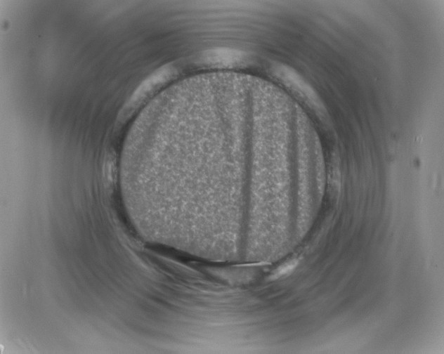 X0000085820119200704132022