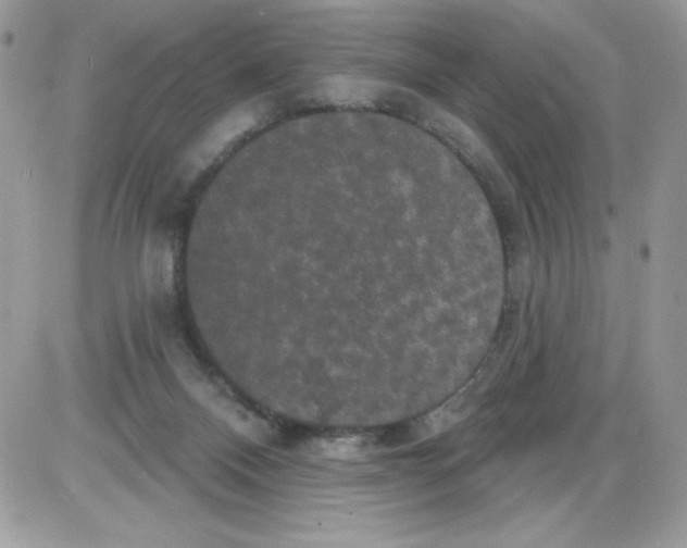 X0000085820120200704132022