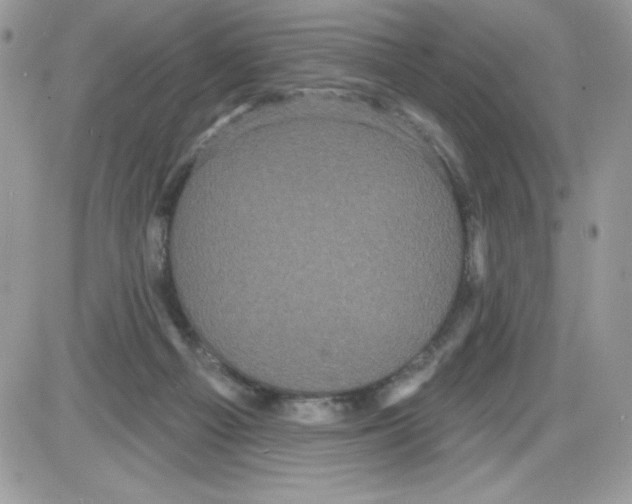 X0000085820121200704132022