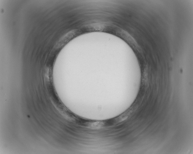 X0000085820122200704132022