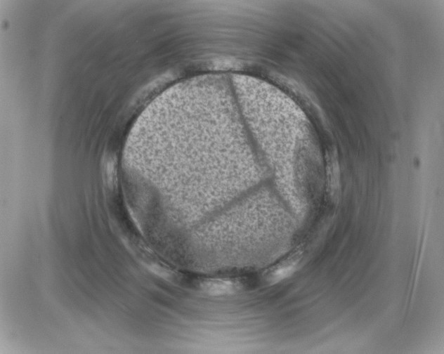 X0000085820123200704132022