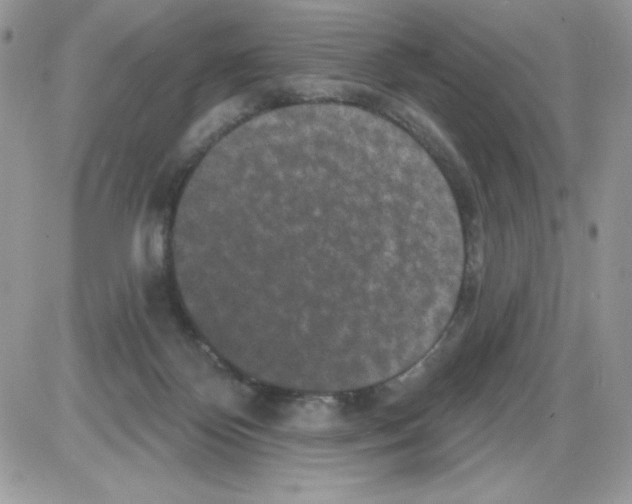 X0000085820124200704132022