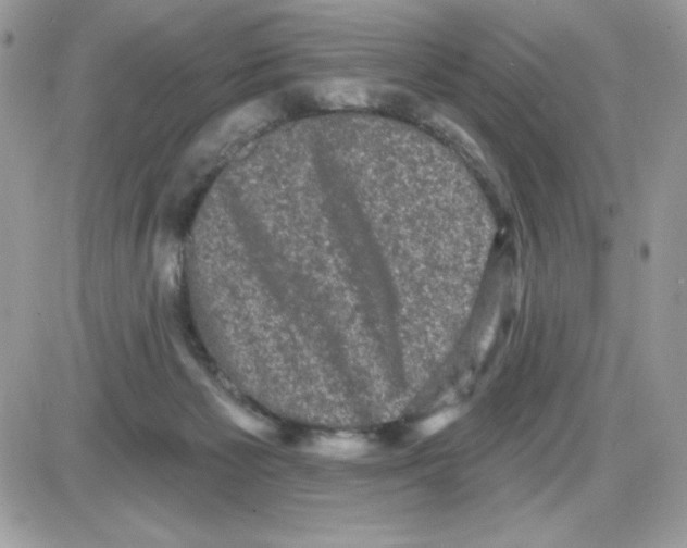 X0000085820125200704132022