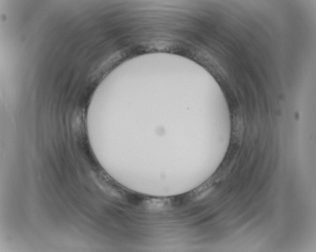 X0000085820126200704132022