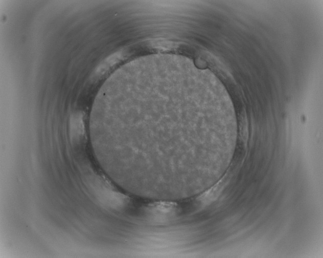 X0000085820128200704132022