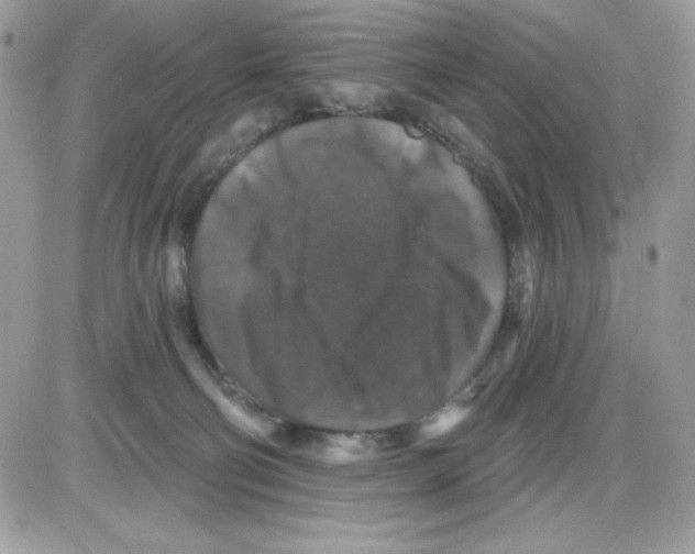 X0000085820130200704132022
