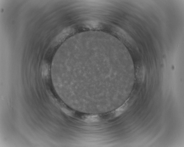 X0000085820132200704132022