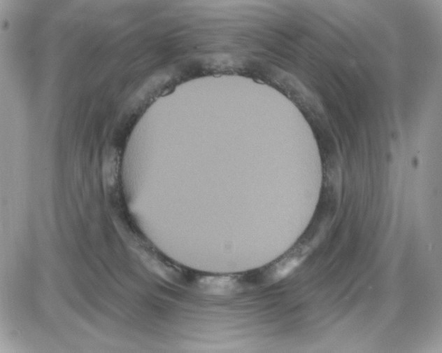 X0000085820133200704132022