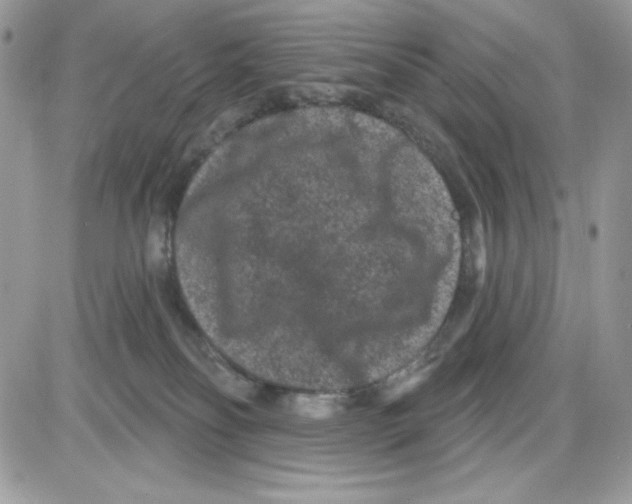 X0000085820134200704132022