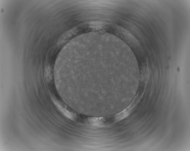 X0000085820136200704132022