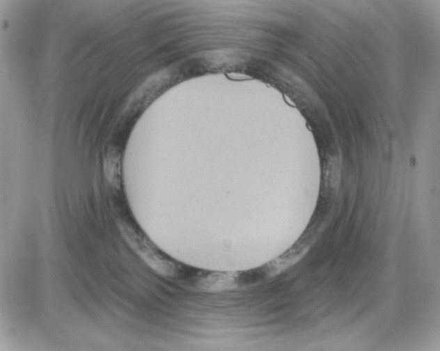 X0000085820138200704132021